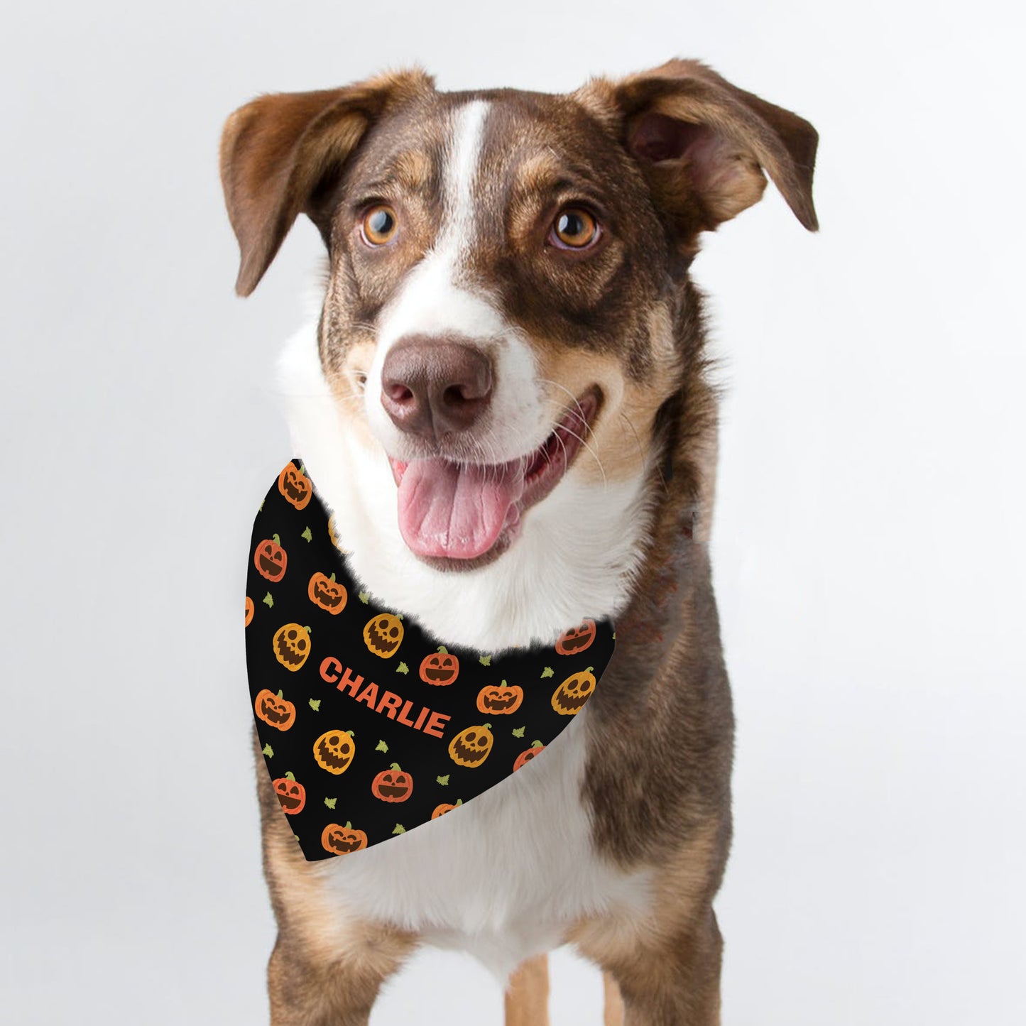 Personalised Halloween Pumpkin Dog Bandana