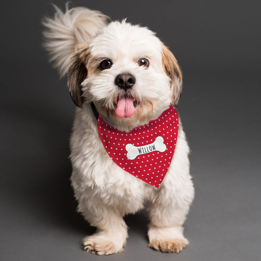 Personalised Polkadot Bandana Collar - Violet Belle Gifts - Personalised Polkadot Bandana Collar